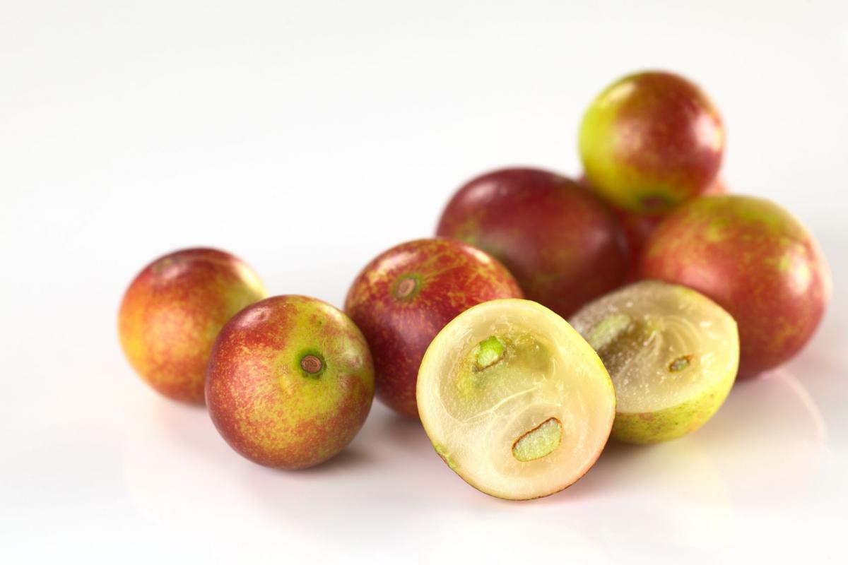 Camu Camu (Myrciaria dubia)